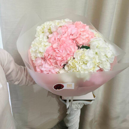 Blush Hydrangea Elegance